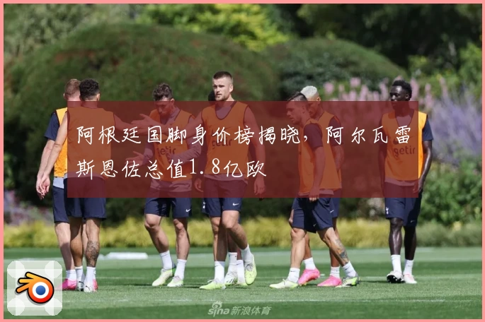 阿根廷国脚身价榜揭晓,阿尔瓦雷斯恩佐总值1.8亿欧