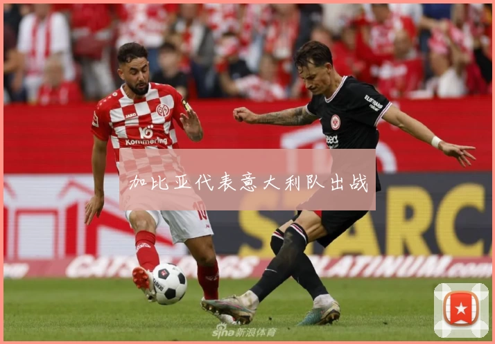 加比亚代表意大利队出战