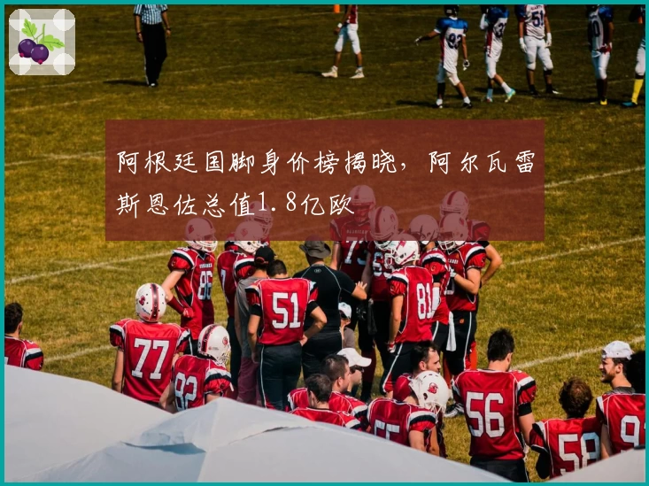 阿根廷国脚身价榜揭晓，阿尔瓦雷斯恩佐总值1.8亿欧