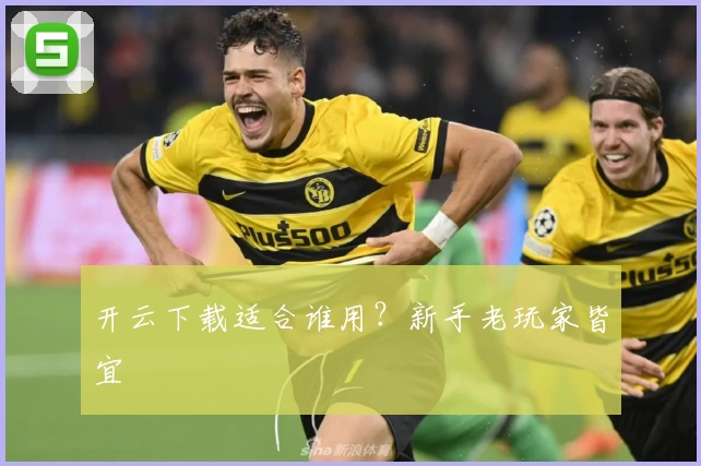 开云下载适合谁用？新手老玩家皆宜