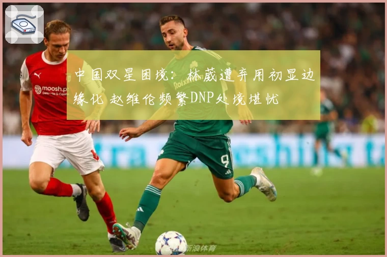 中国双星困境：林葳遭弃用初显边缘化 赵维伦频繁DNP处境堪忧