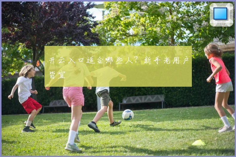 开云入口适合哪些人？新手老用户皆宜