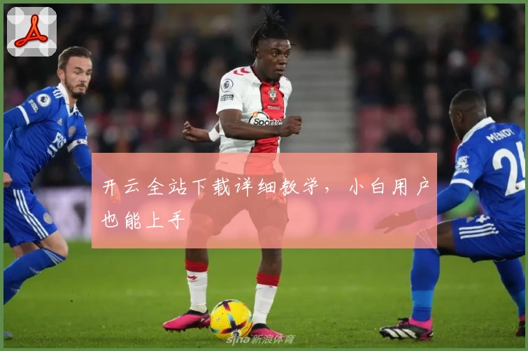 开云全站下载详细教学，小白用户也能上手