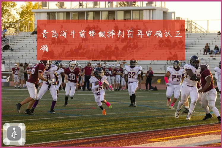 青岛海牛前锋假摔判罚再审确认正确