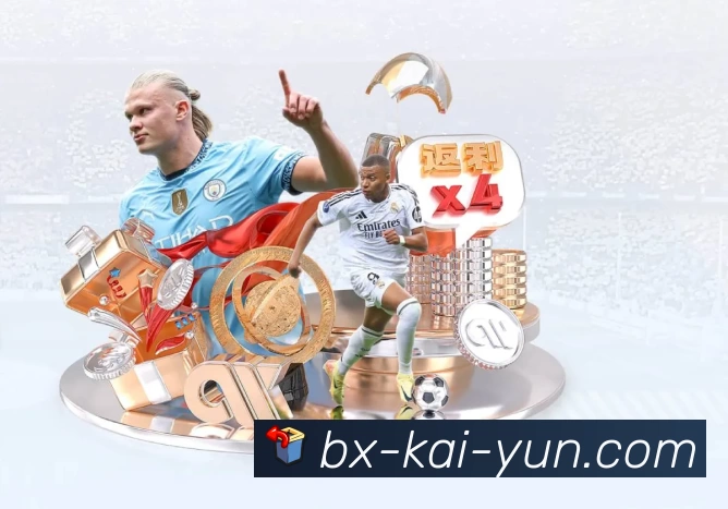 kaiyun服务体系
